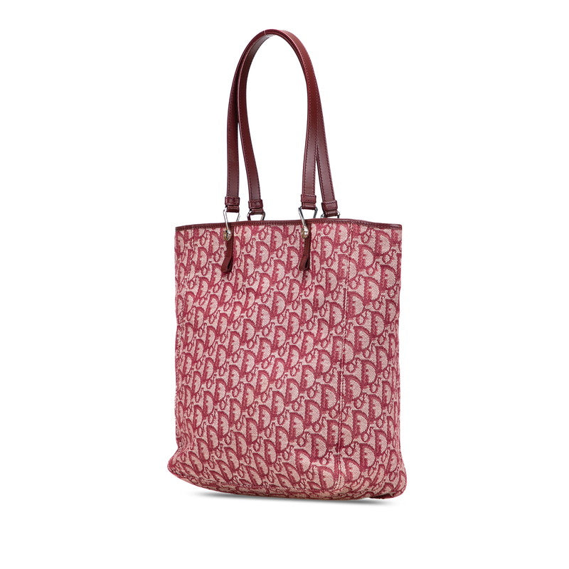 Dior Trotter Canvas Leather 2way Bag