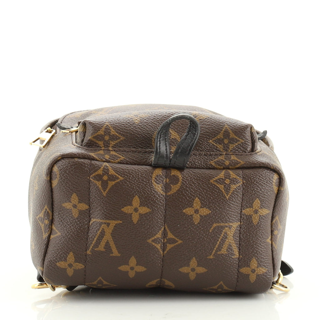 Palm Springs Backpack Monogram Canvas Mini