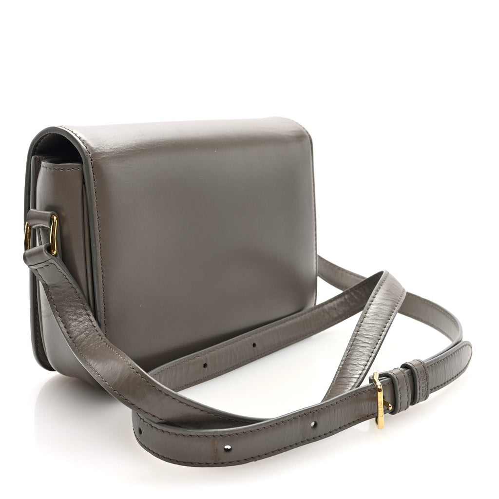 Shiny Calfskin Teen Triomphe Pebble