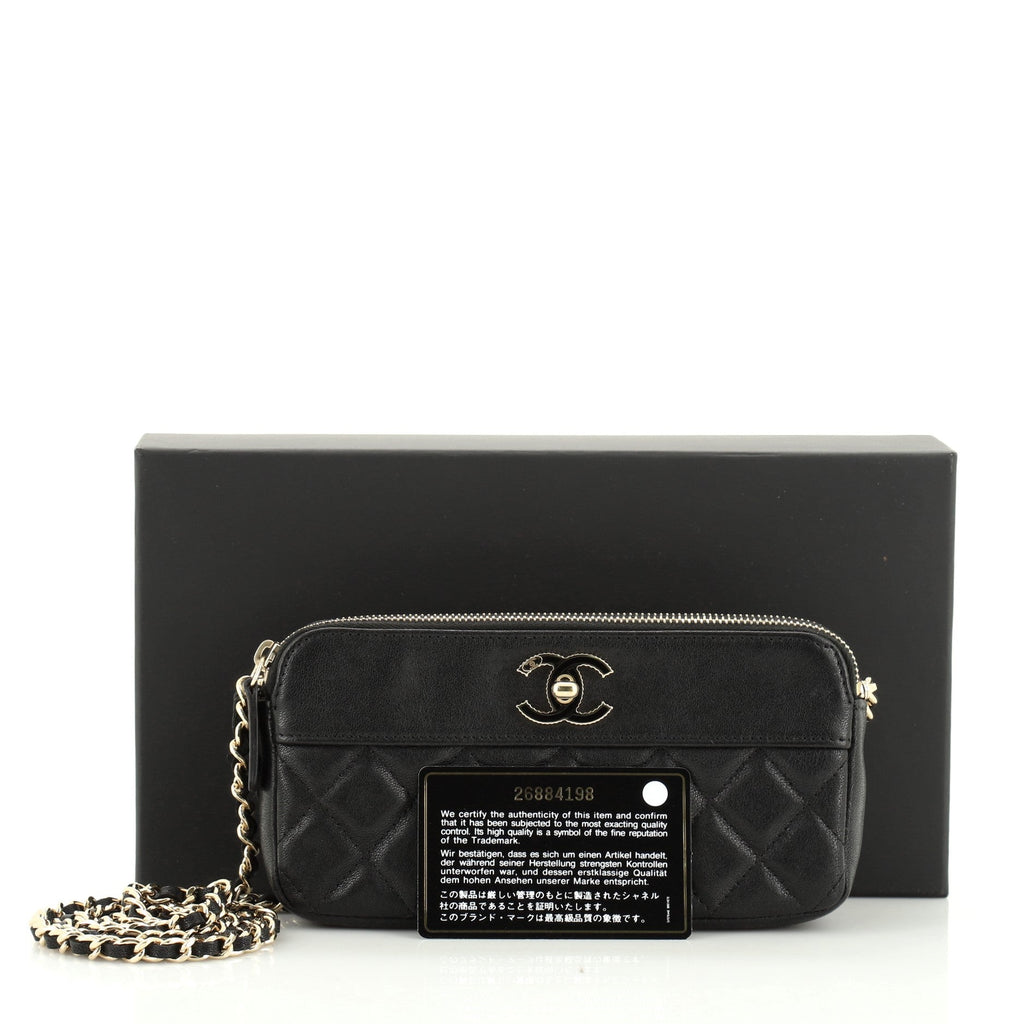 Vintage Mademoiselle Double Zip Clutch With Chain Quilted Sheepskin