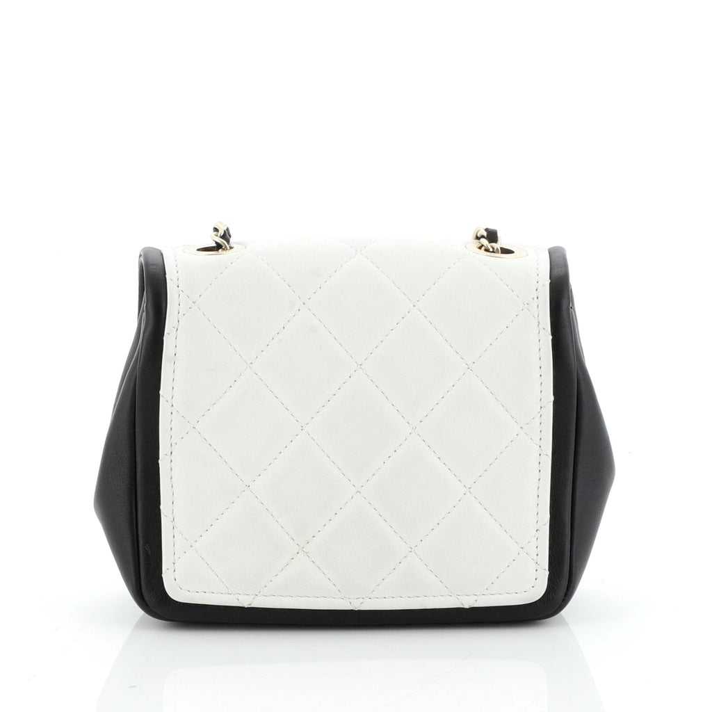 Graphic Flap Bag Quilted Calfskin Mini
