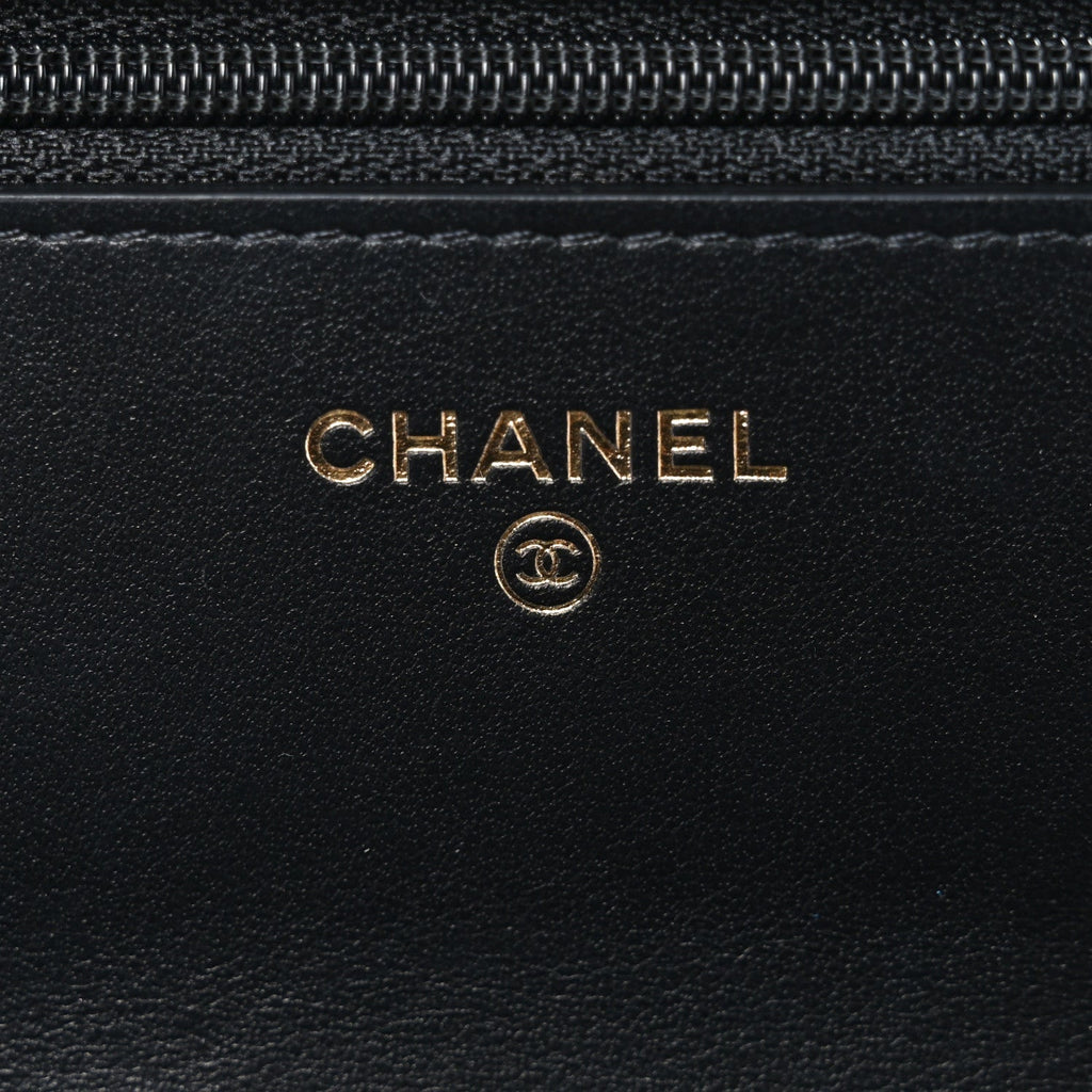 Tweed Quilted Chanel 19 Wallet On Chain WOC Black Pink Blue
