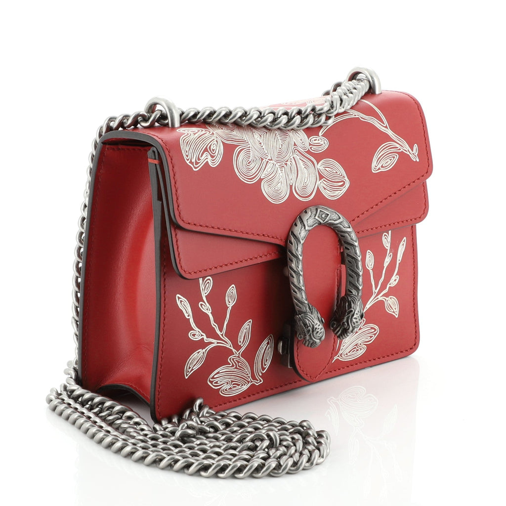 Dionysus Bag Limited Edition Painted Leather Mini