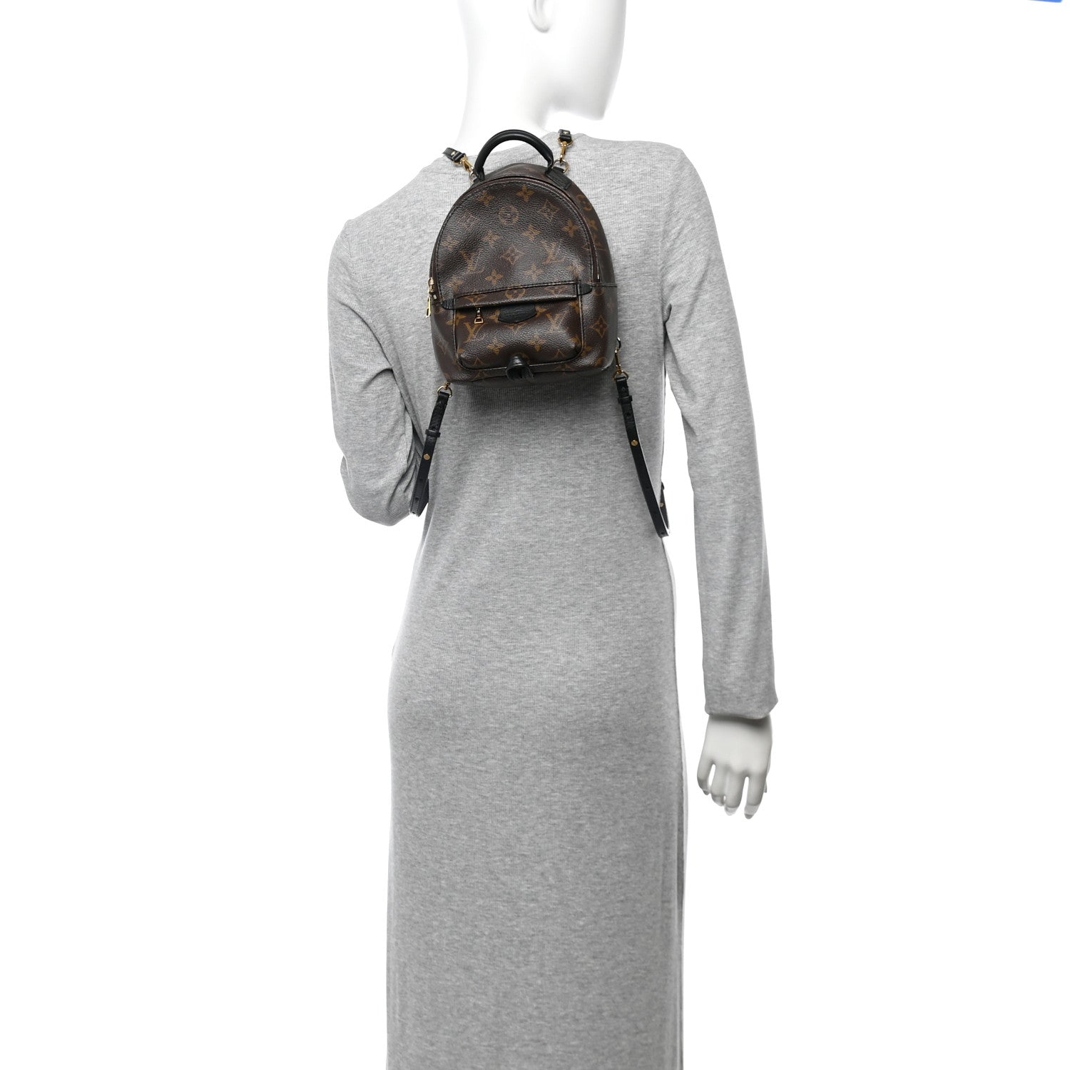 Monogram Palm Springs Backpack Mini