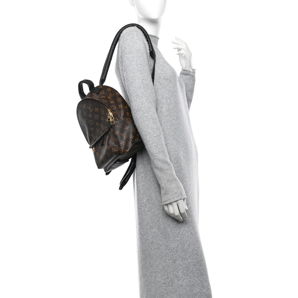 Monogram Palm Springs Backpack PM