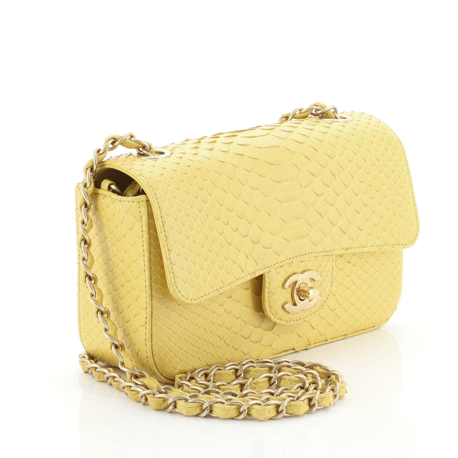 Classic Single Flap Bag Python Mini