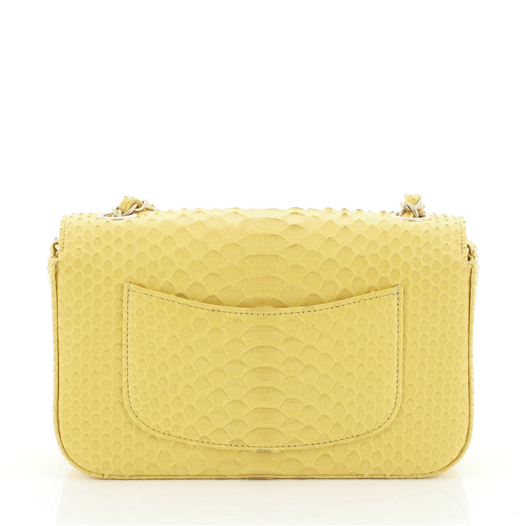 Classic Single Flap Bag Python Mini