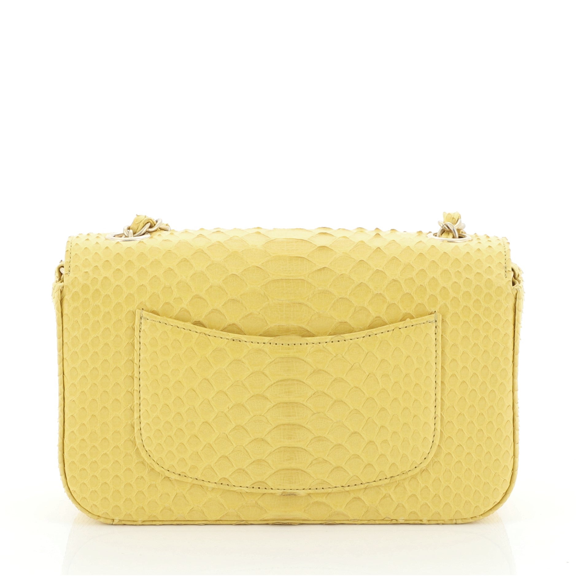 Classic Single Flap Bag Python Mini