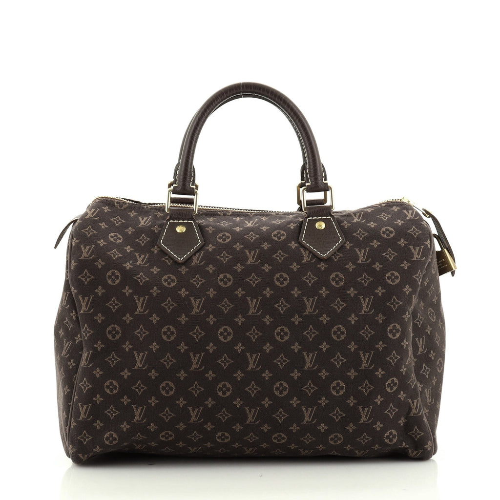 Speedy Handbag Mini Lin 30