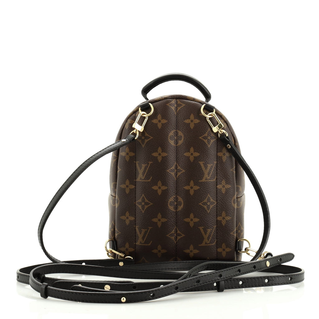 Palm Springs Backpack Monogram Canvas Mini