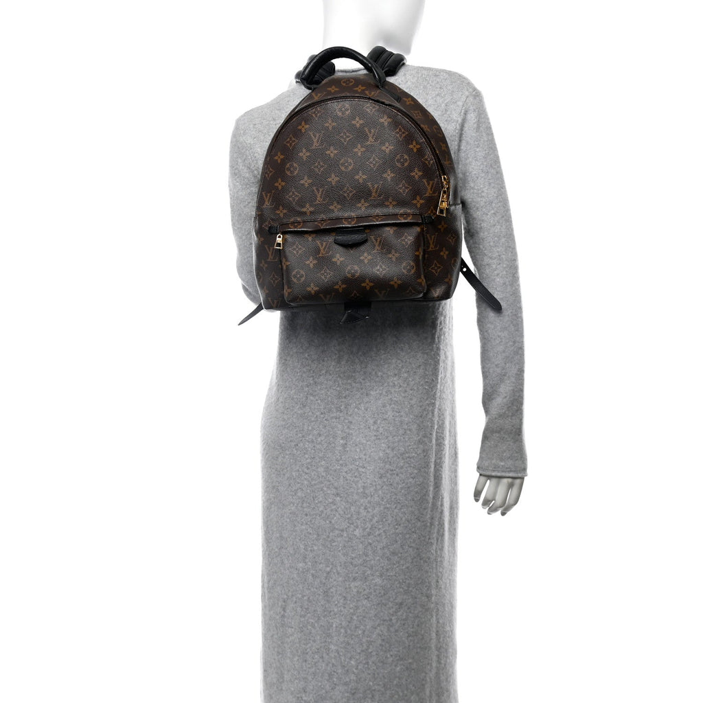 Monogram Palm Springs Backpack MM
