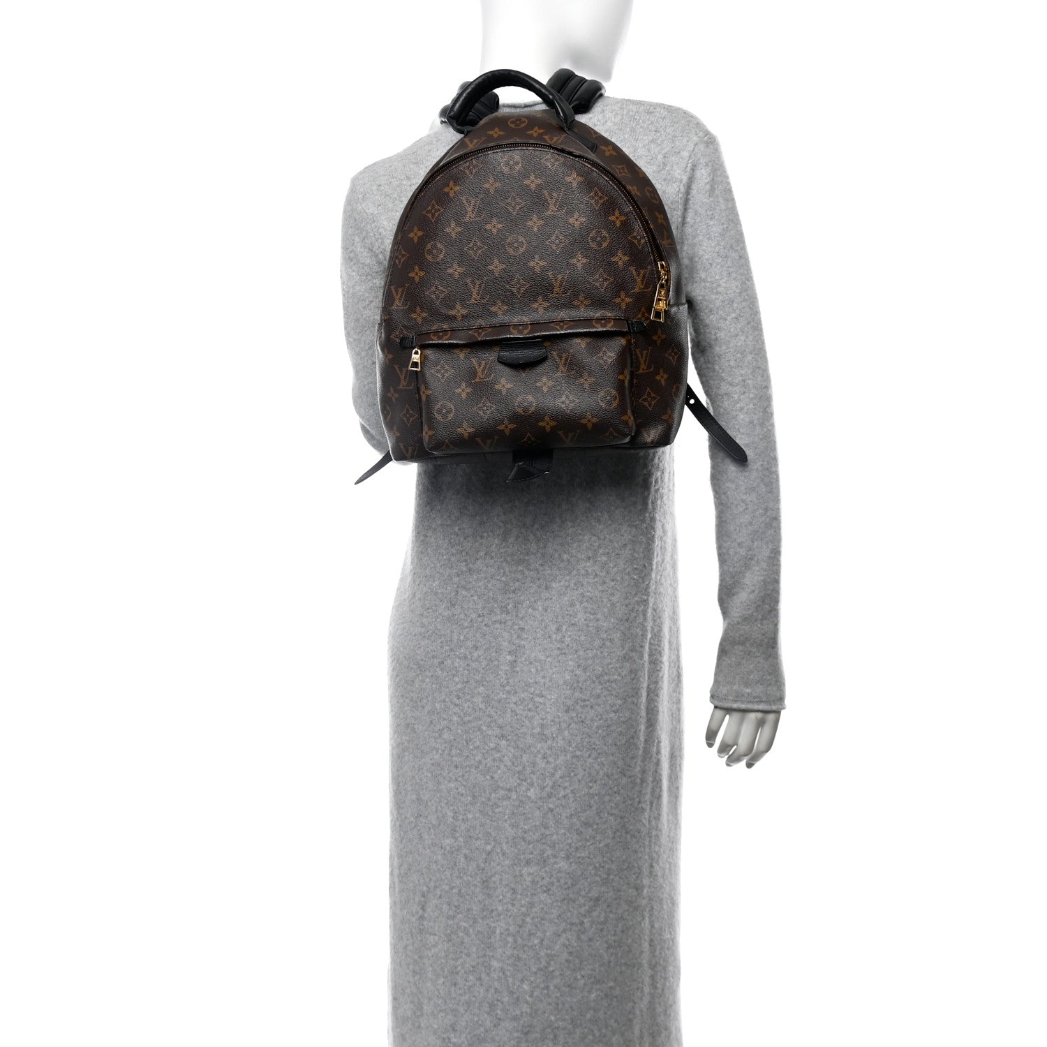 Monogram Palm Springs Backpack MM