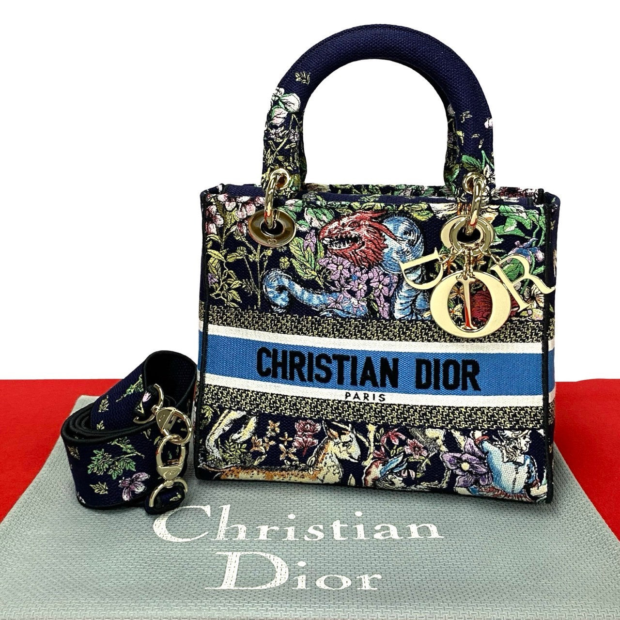 Christian Dior Lady Dior Canvas 2way Shoulder Bag