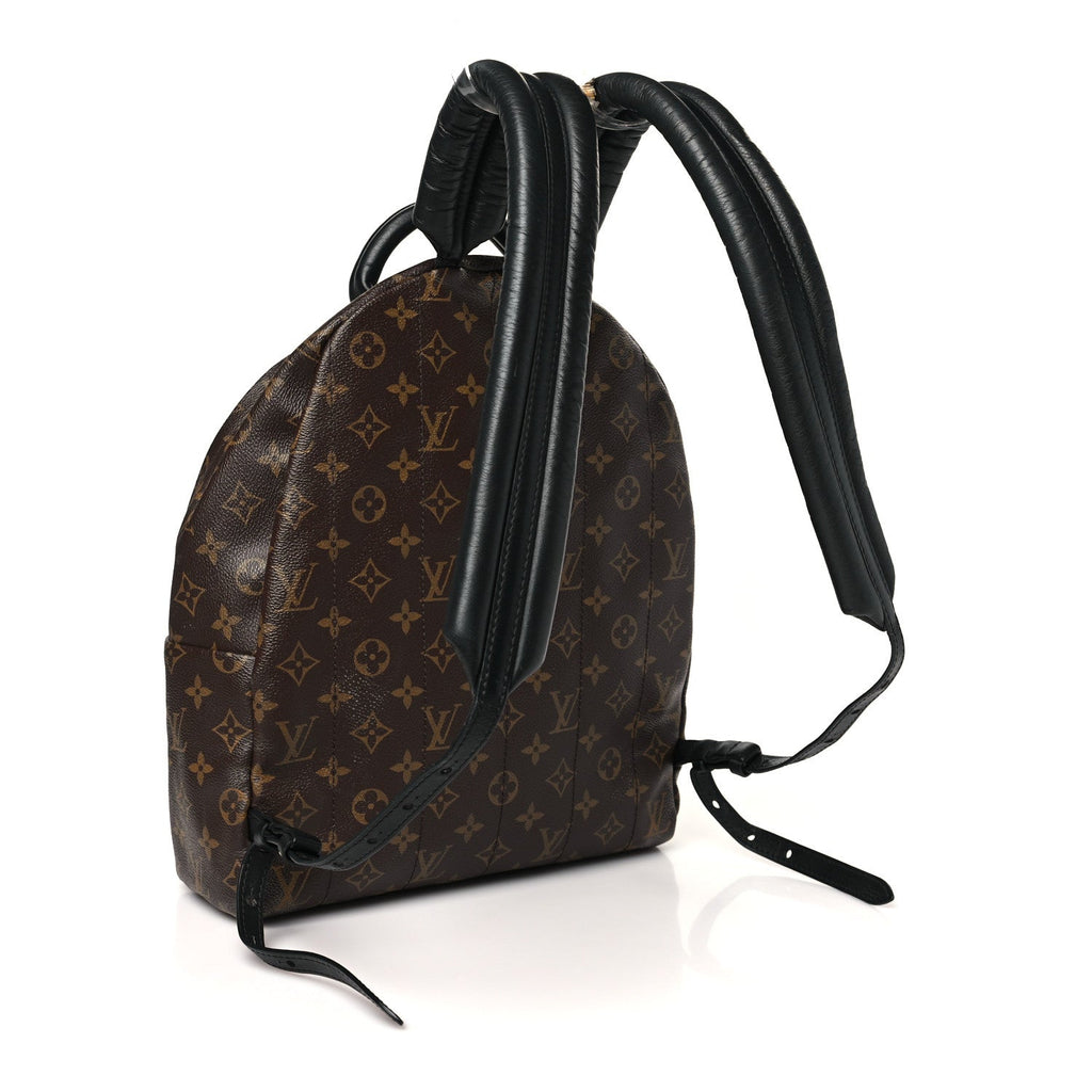 Monogram Palm Springs Backpack MM