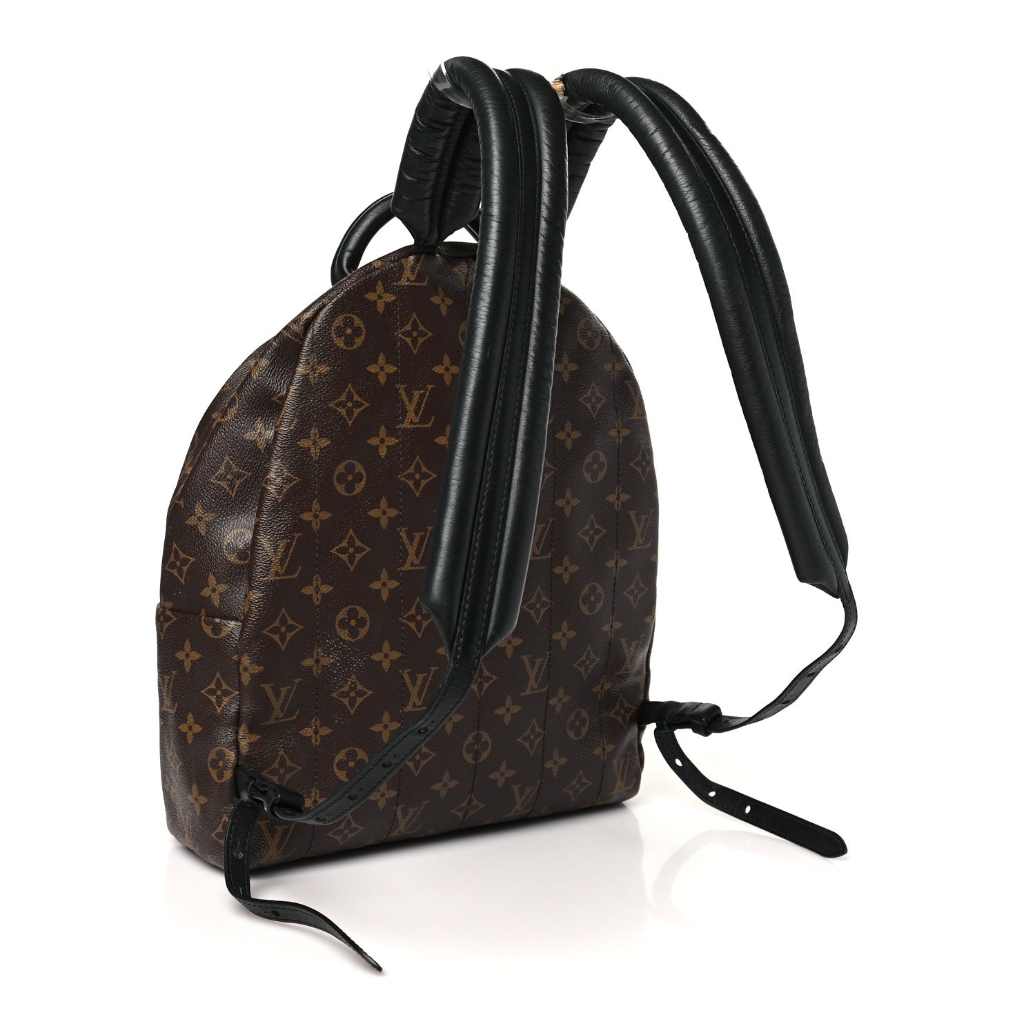 Monogram Palm Springs Backpack MM