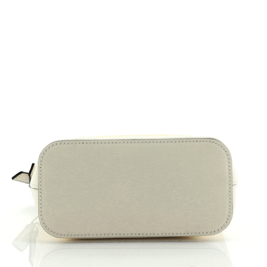 Dome Crossbody Bag Limited Edition Printed Leather Mini
