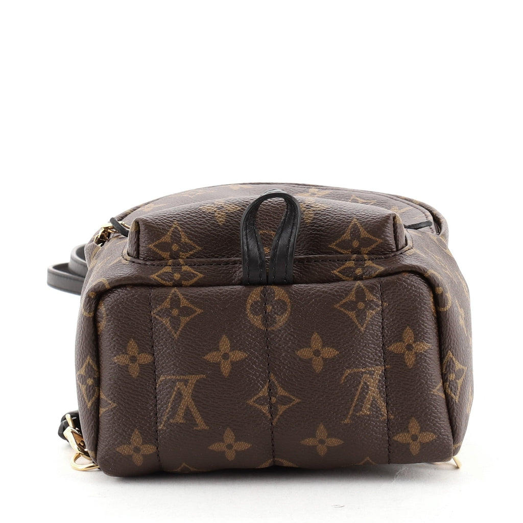 Palm Springs Backpack Monogram Canvas Mini