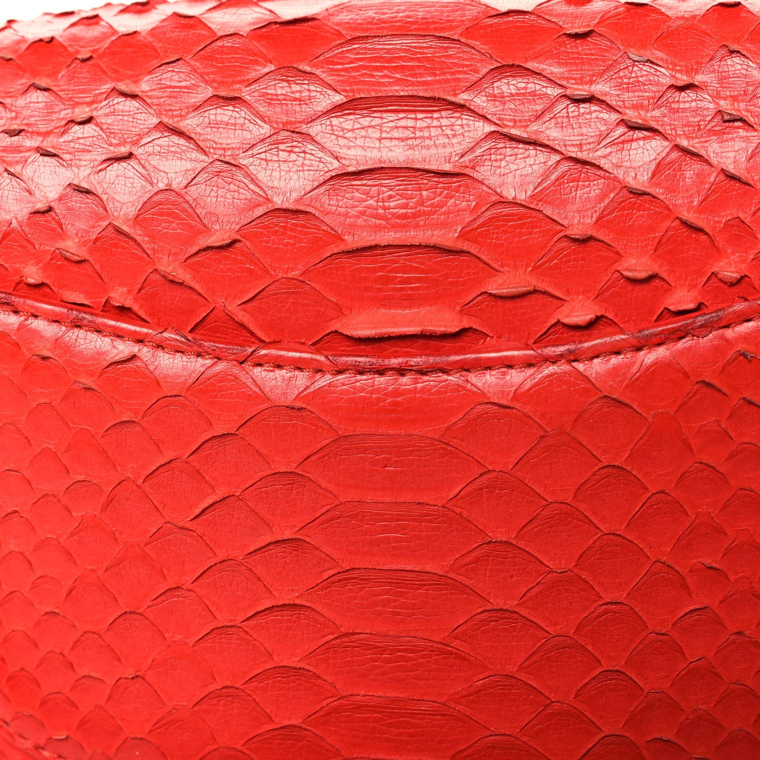 Snakeskin Mini Rectangular Flap Red