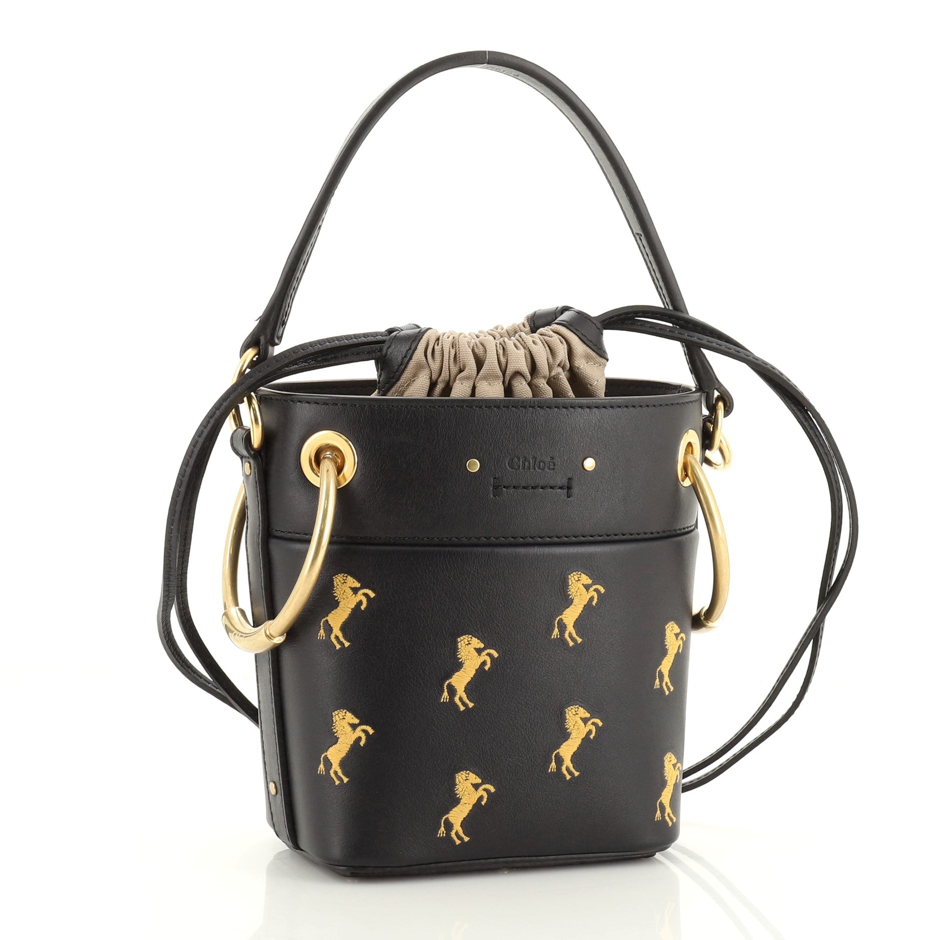 Roy Bucket Bag Embroidered Leather Mini