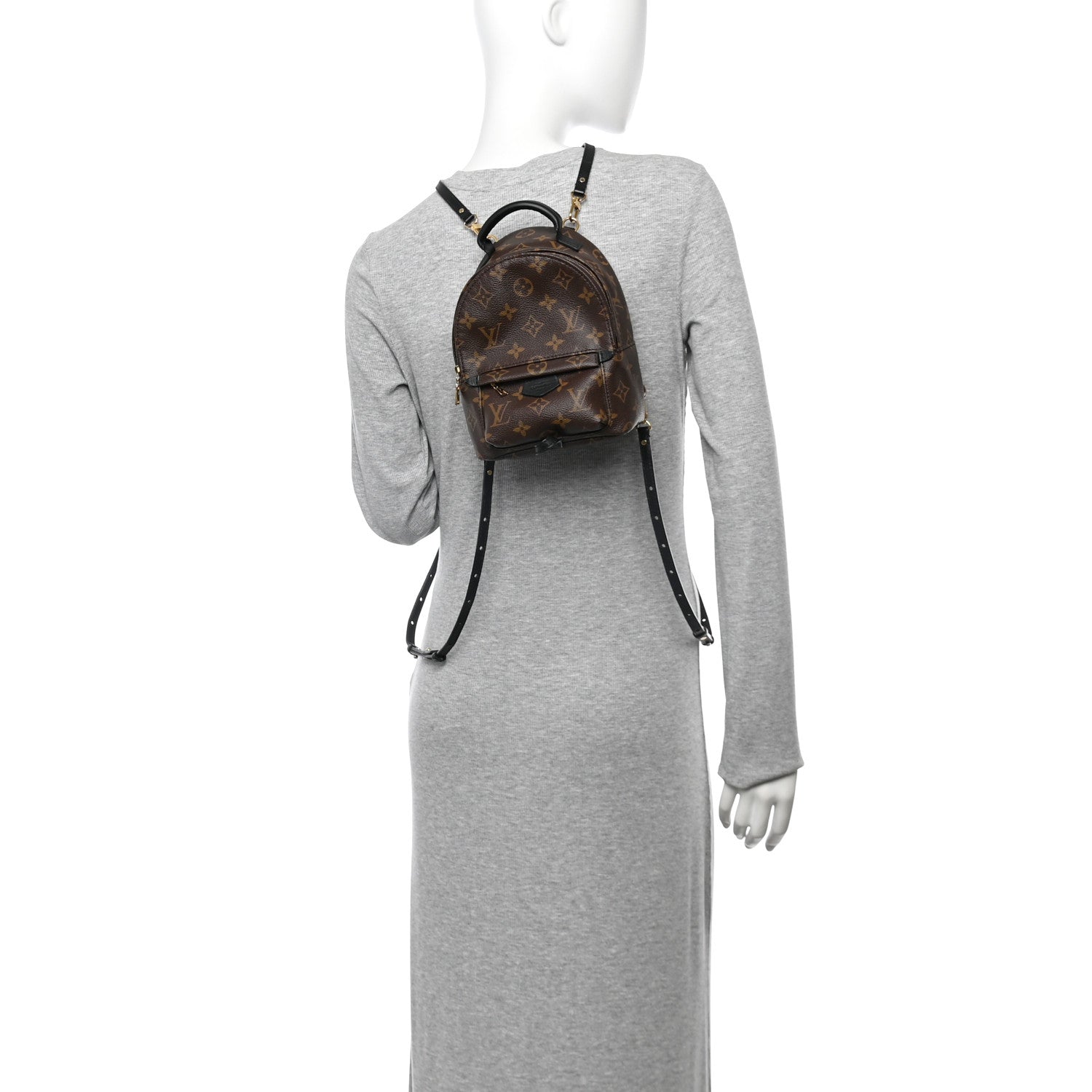Monogram Palm Springs Backpack Mini