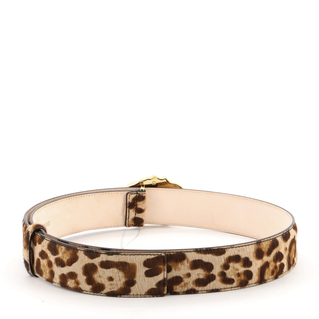 Medusa Buckle Belt Pony Hair and Leather Wide 100