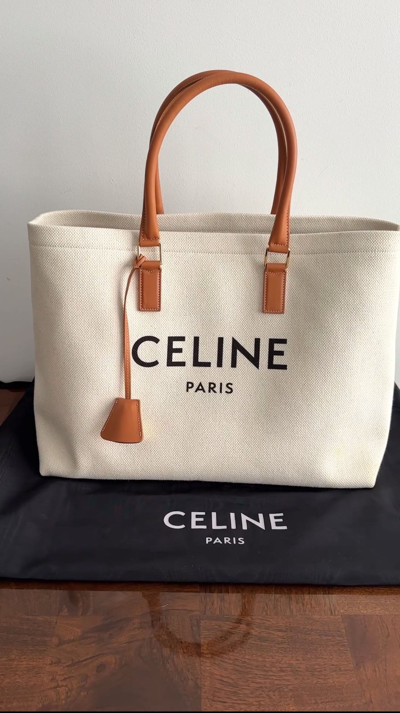 Celine 2019 Natural Toile and Tan Leather Large Travel Tote Bag