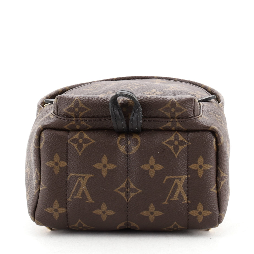 Palm Springs Backpack Monogram Canvas Mini