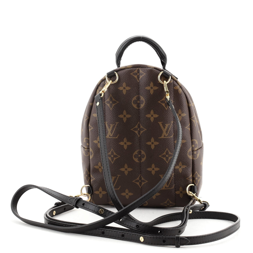 Palm Springs Backpack Monogram Canvas Mini