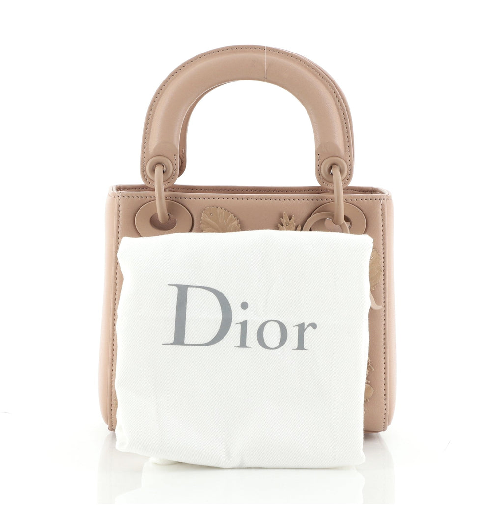 Ultra Matte Lady Dior Bag Flower Embroidered Lambskin Mini