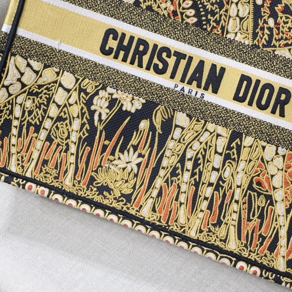 DIOR BOOK TOTE