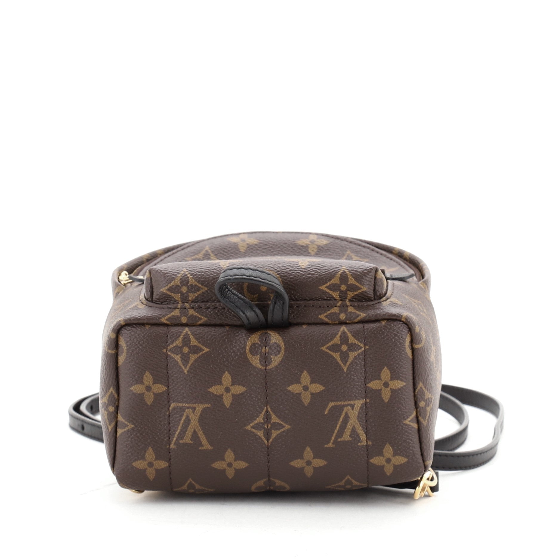 Palm Springs Backpack Monogram Canvas Mini