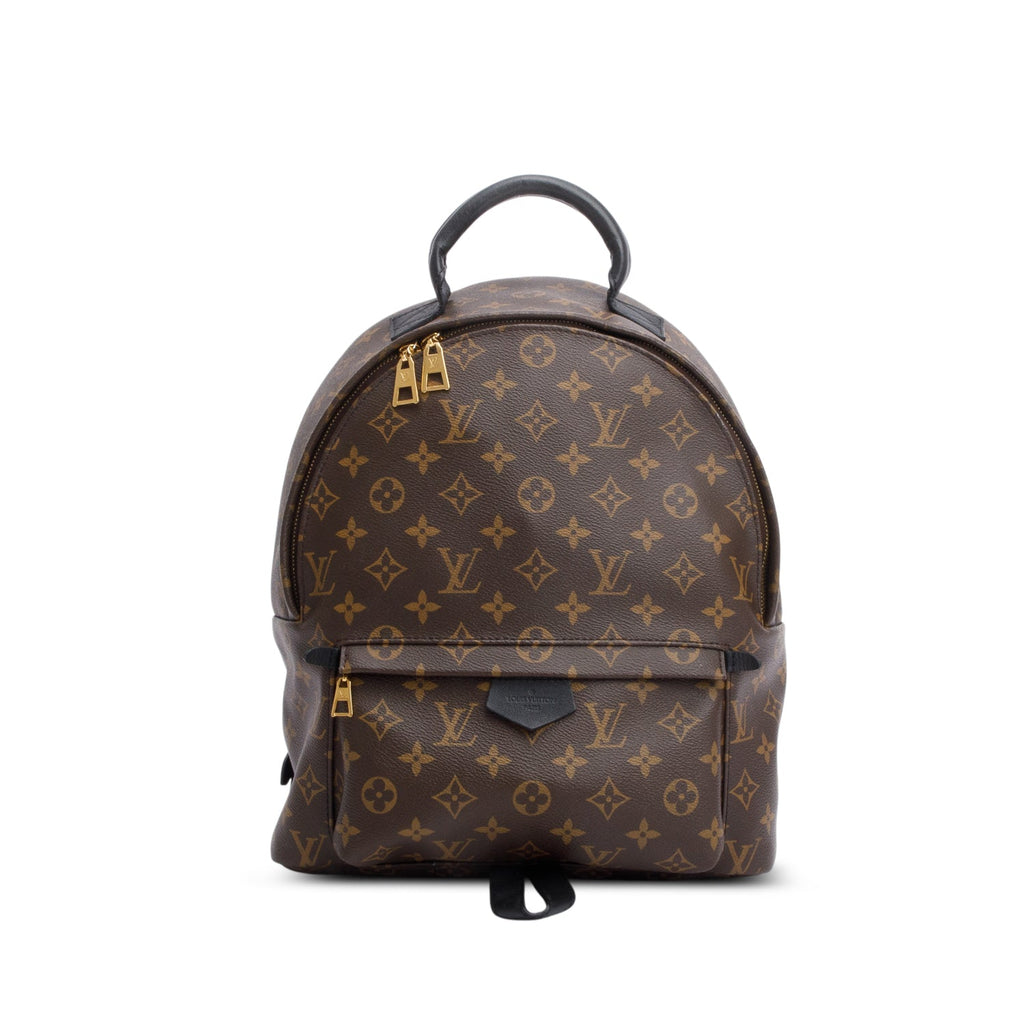 Louis Vuitton Monogram Palm Springs Backpack MM