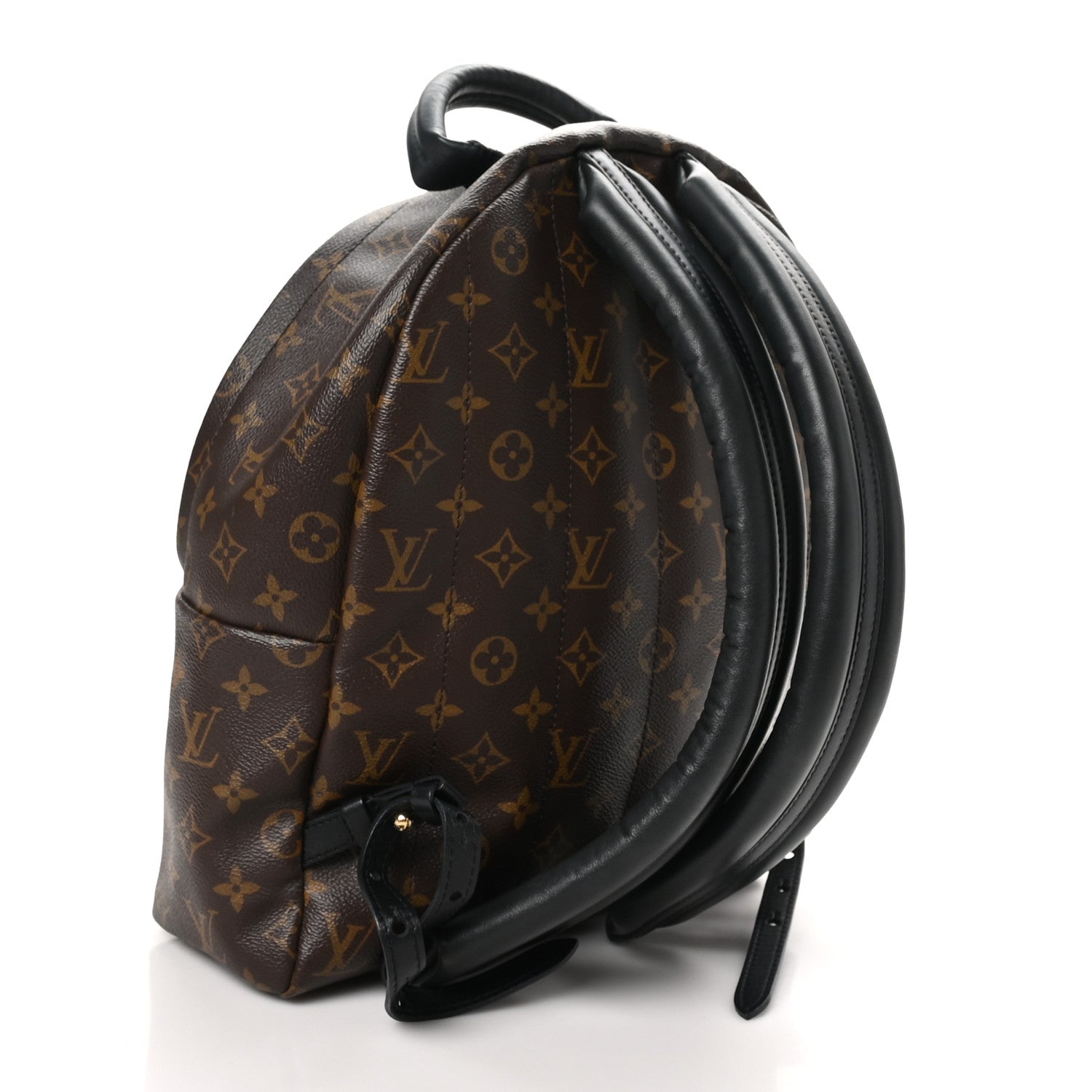 Monogram Palm Springs Backpack MM