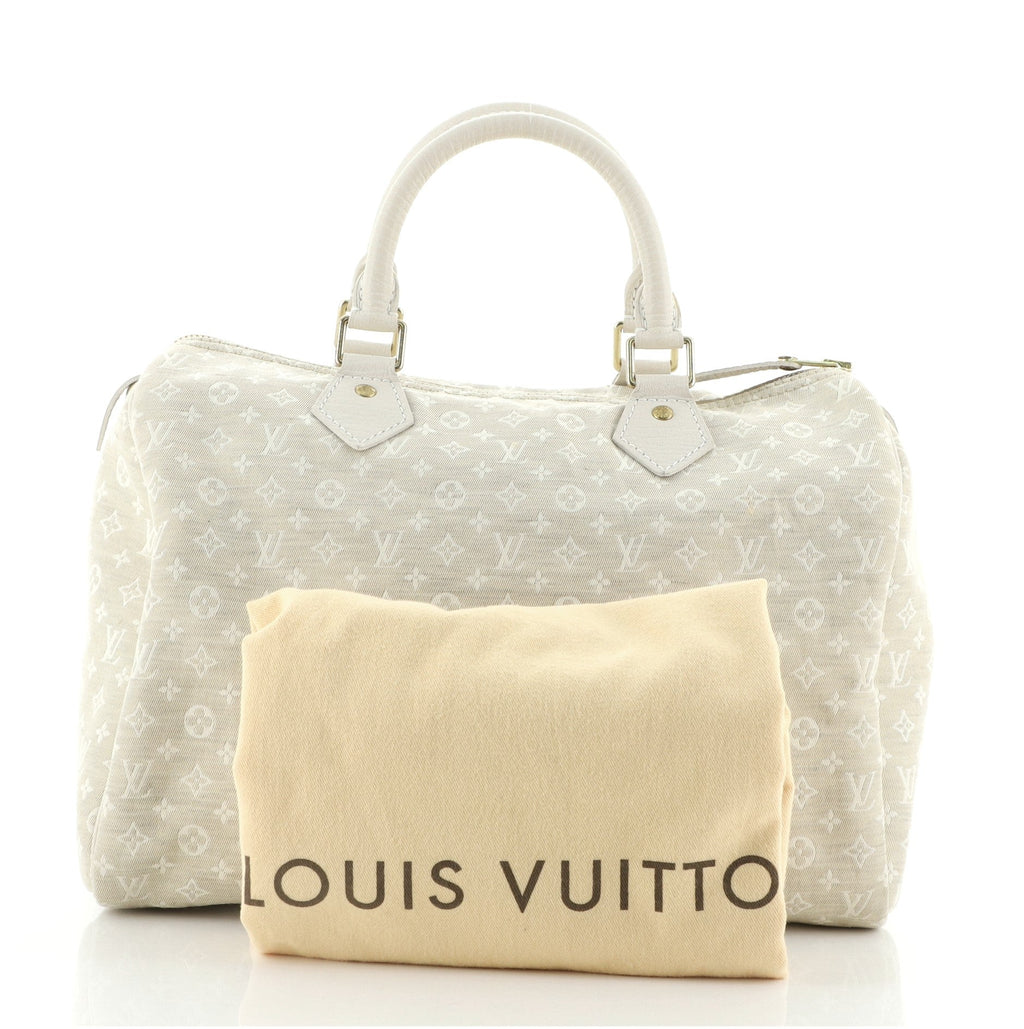 Speedy Handbag Mini Lin 30