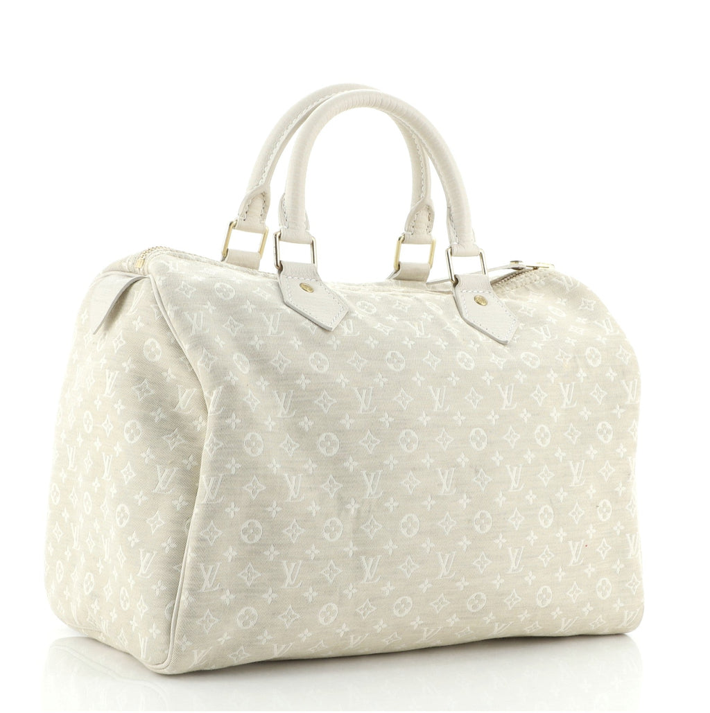 Speedy Handbag Mini Lin 30