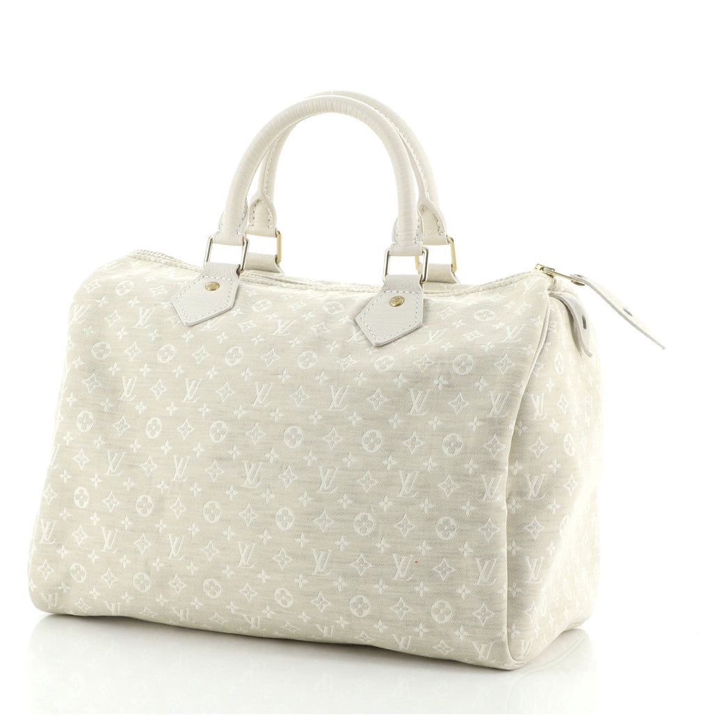 Speedy Handbag Mini Lin 30