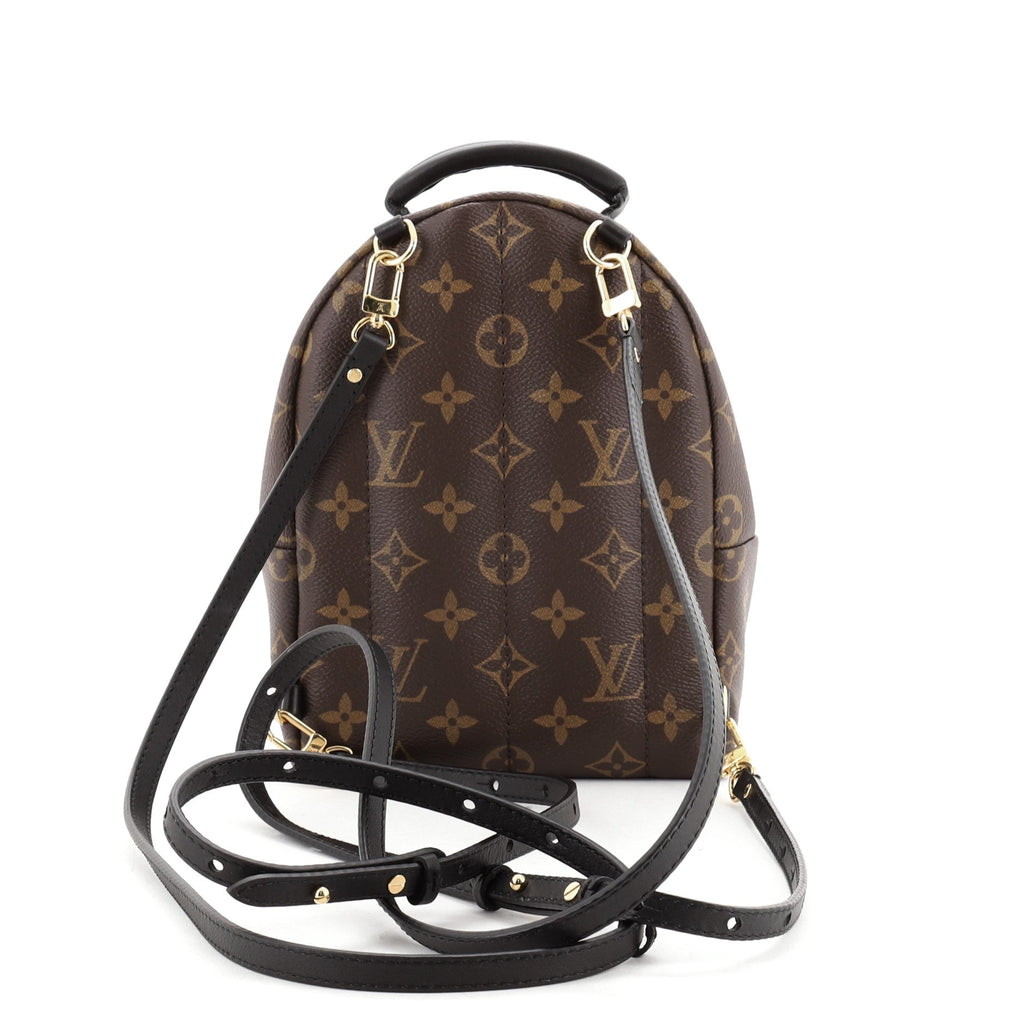 Palm Springs Backpack Monogram Canvas Mini