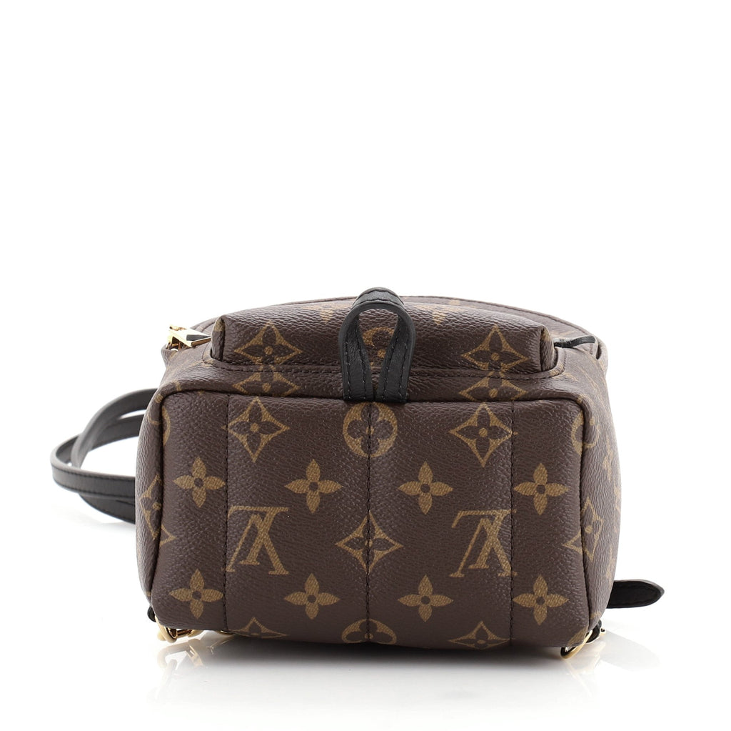 Palm Springs Backpack Monogram Canvas Mini