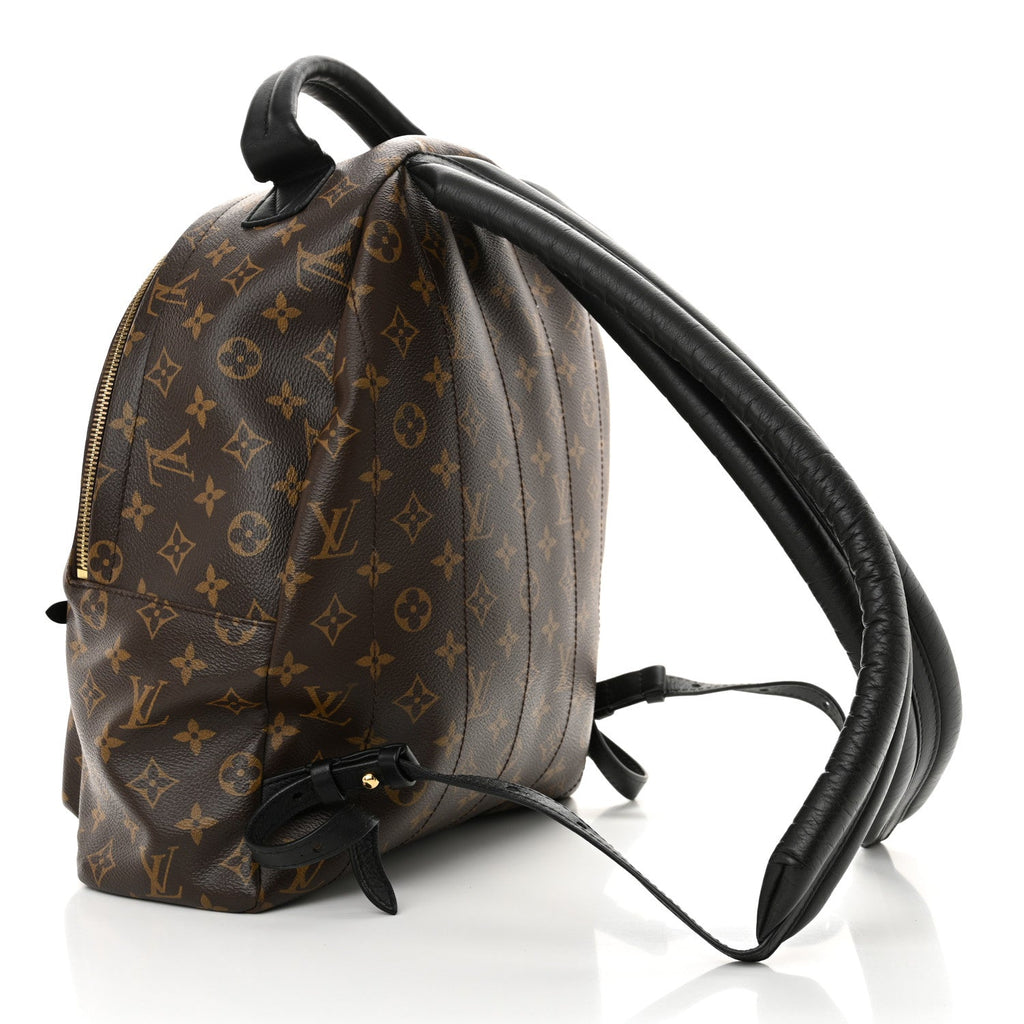Monogram Palm Springs Backpack MM