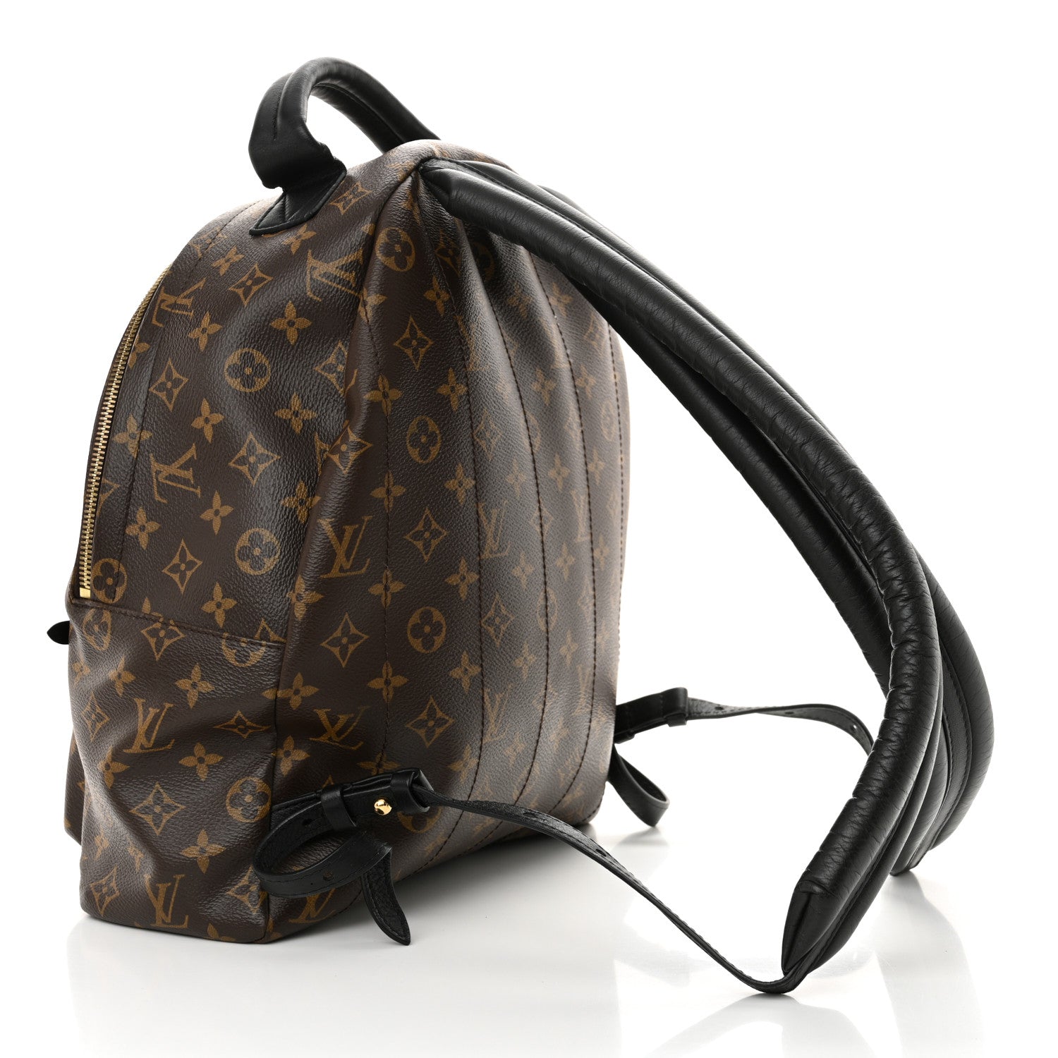 Monogram Palm Springs Backpack MM