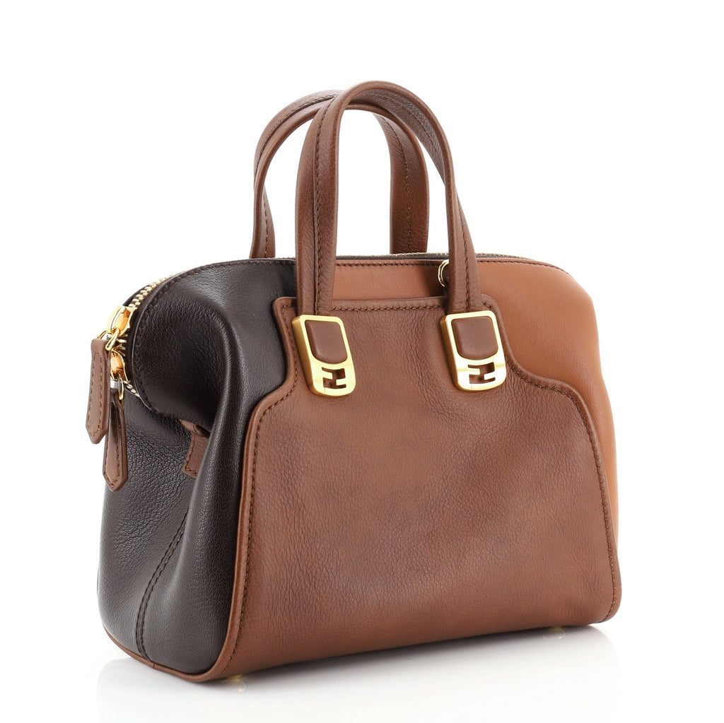 Chameleon Convertible Satchel Leather Mini