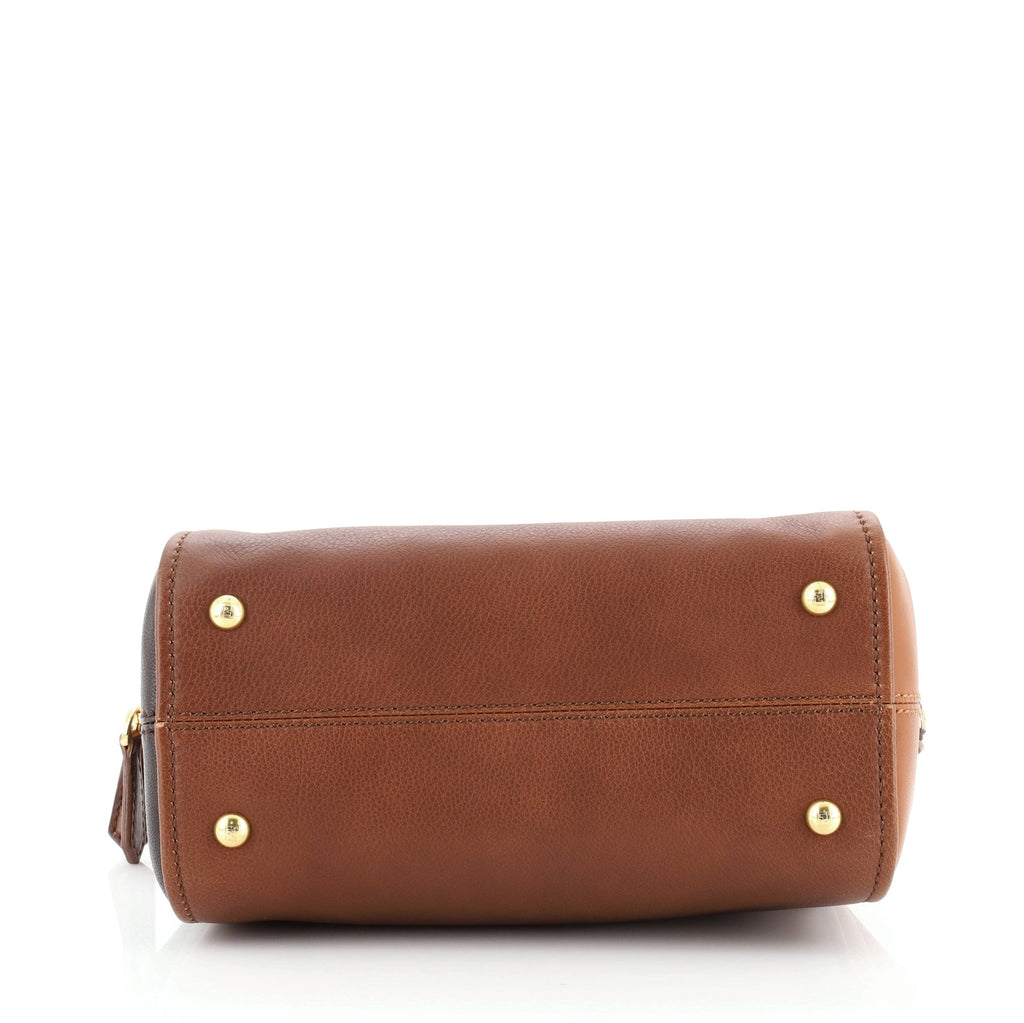 Chameleon Convertible Satchel Leather Mini