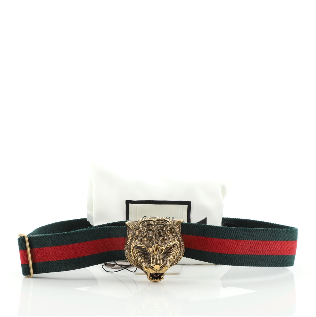 Animalier Web Belt Canvas Wide 80