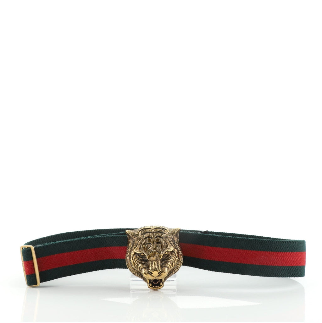 Animalier Web Belt Canvas Wide 80