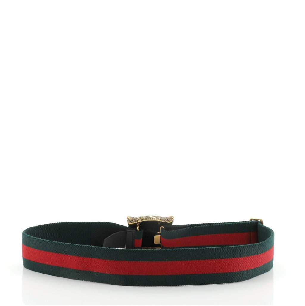 Animalier Web Belt Canvas Wide 80