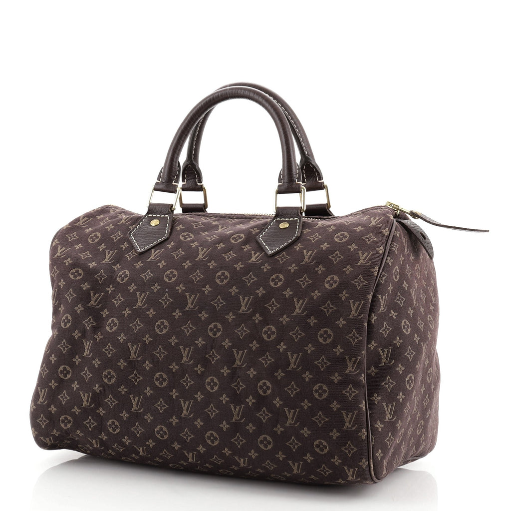 Speedy Handbag Mini Lin 30