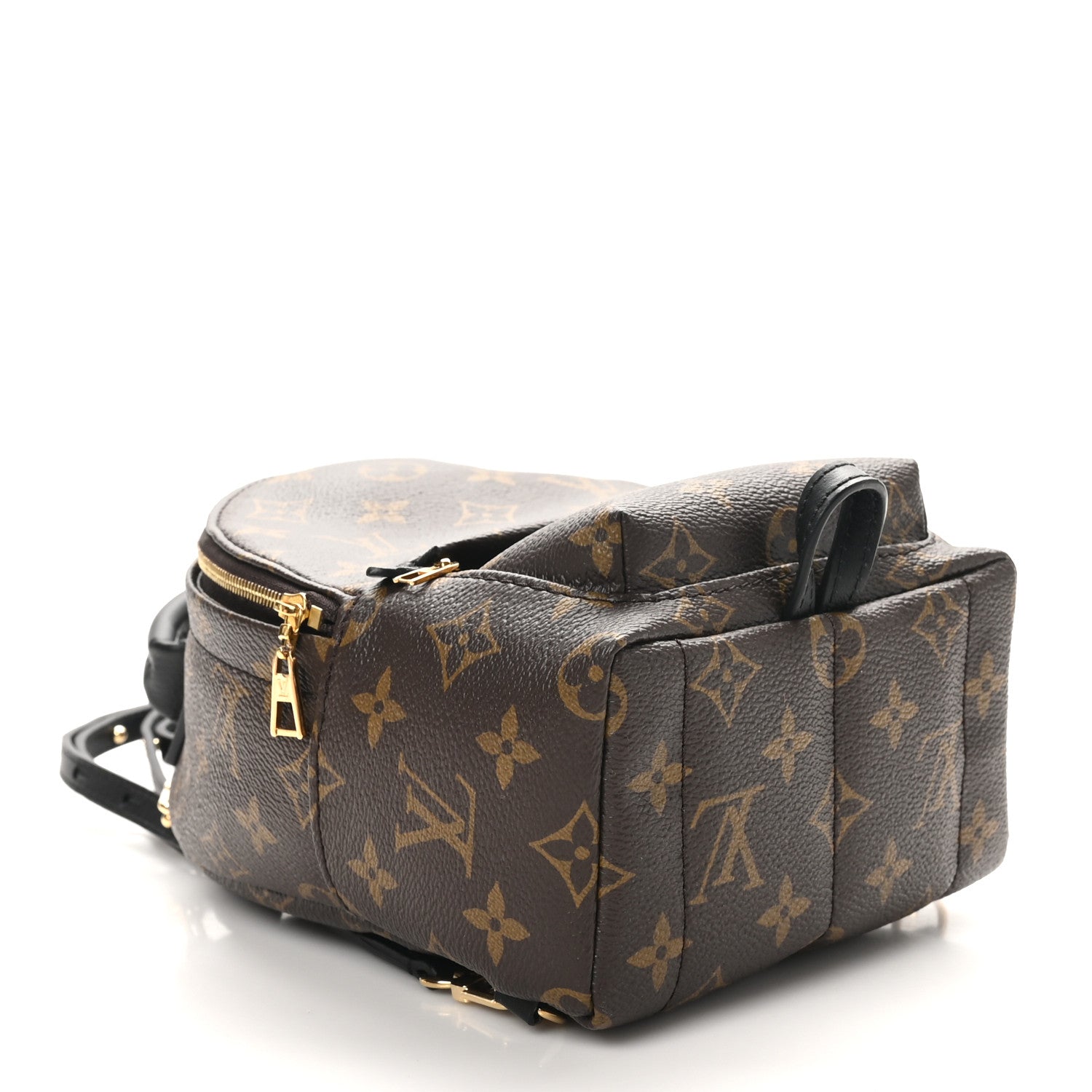 Monogram Palm Springs Backpack Mini