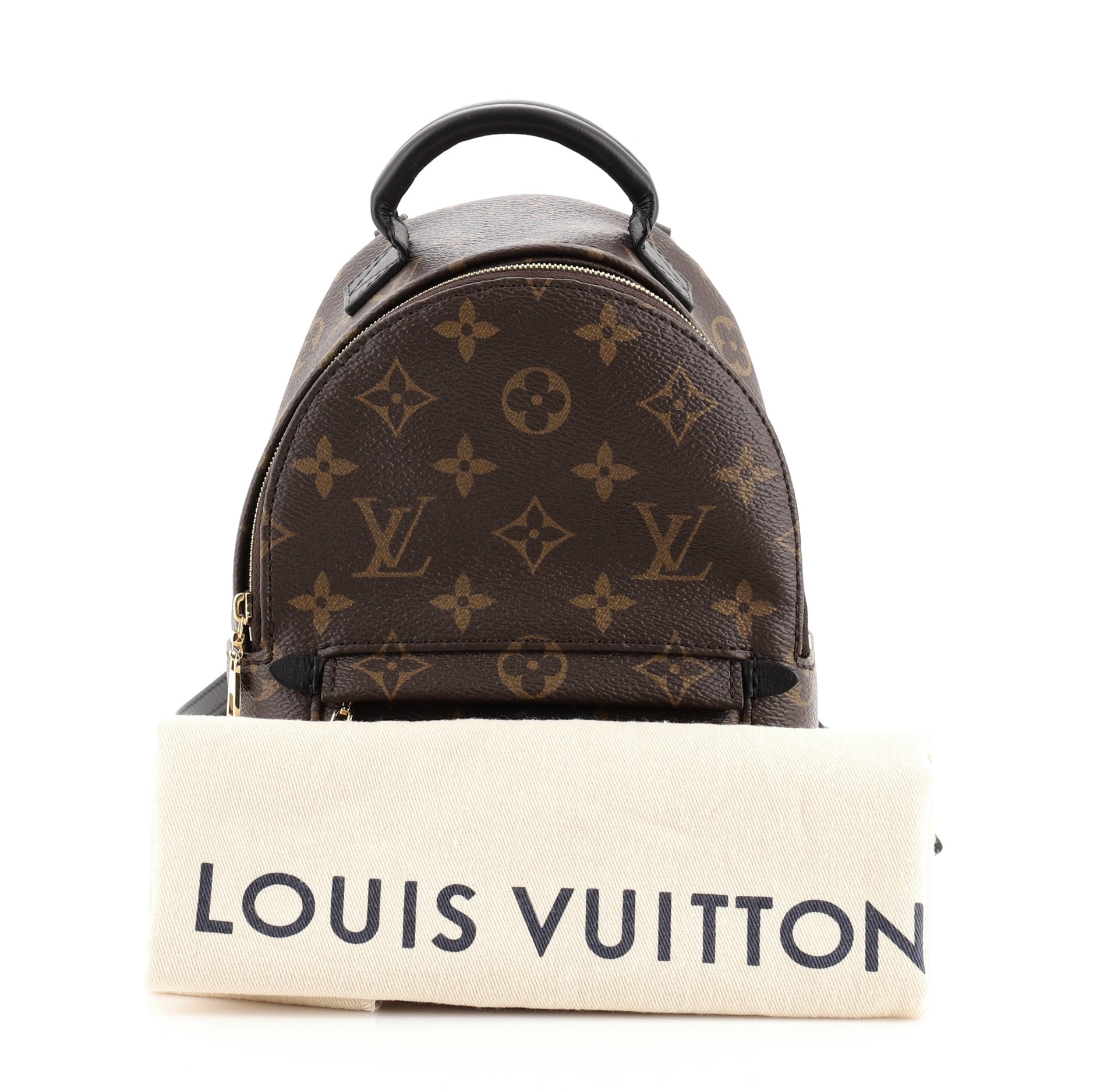 Palm Springs Backpack Monogram Canvas Mini
