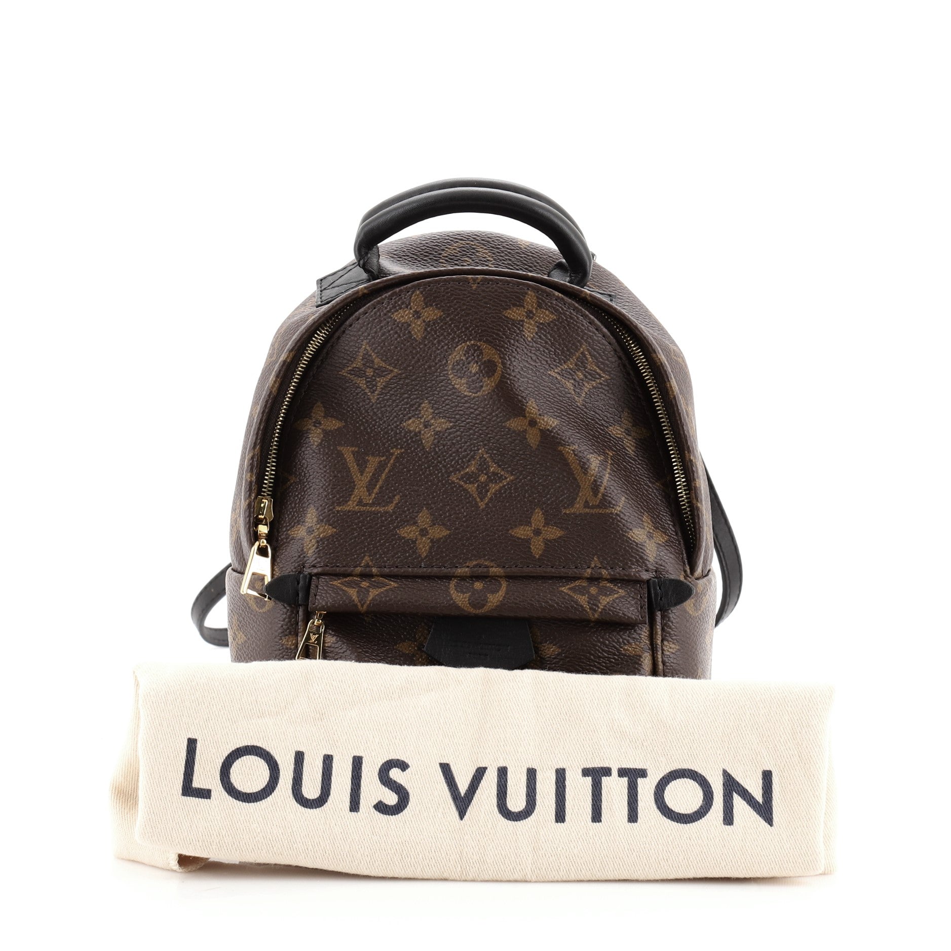 Palm Springs Backpack Monogram Canvas Mini