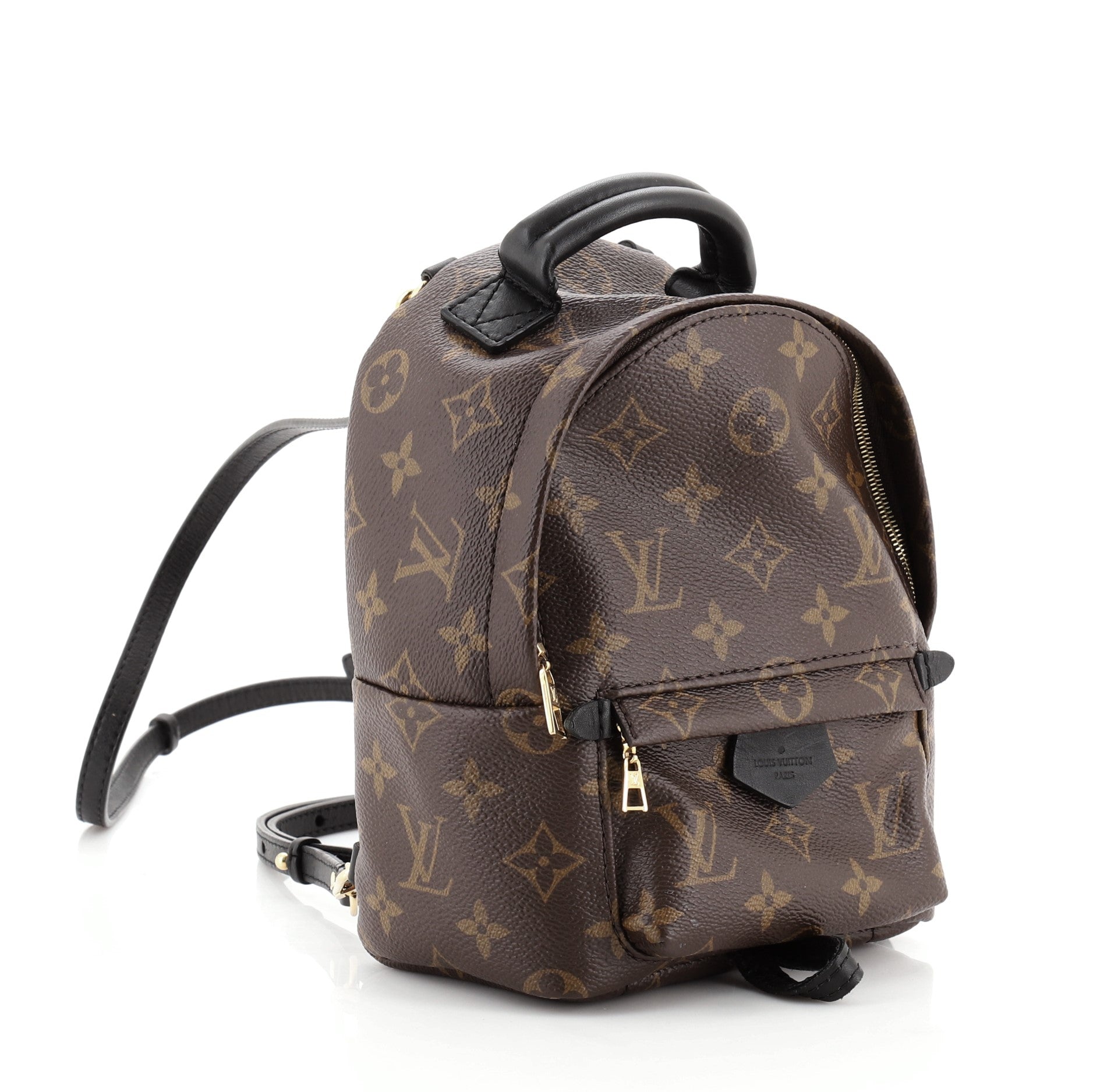 Palm Springs Backpack Monogram Canvas Mini
